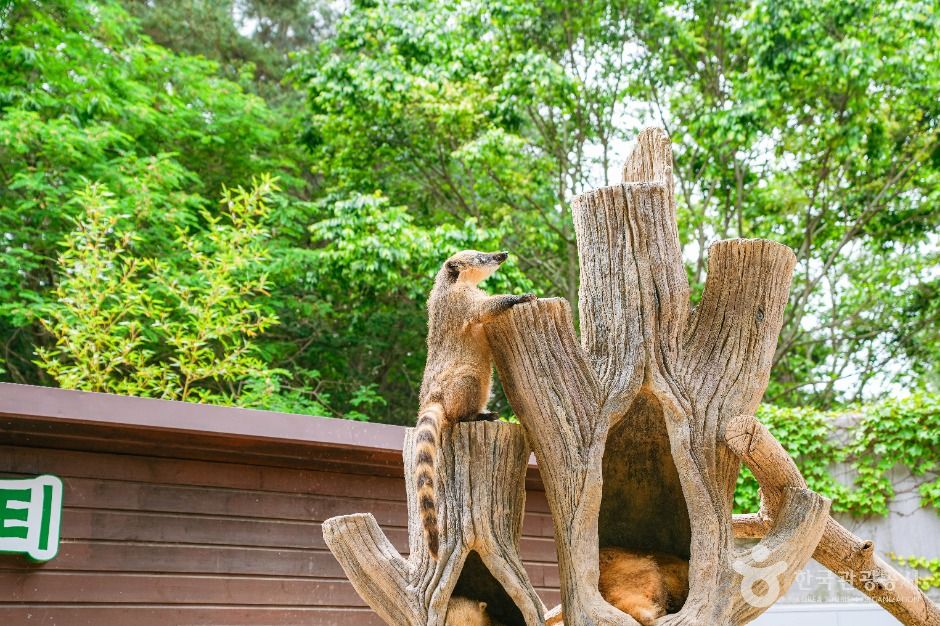 울산_남구_울산대공원 동물원 (3)
