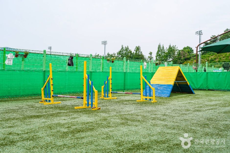울산_남구_울산애견공원 (2)