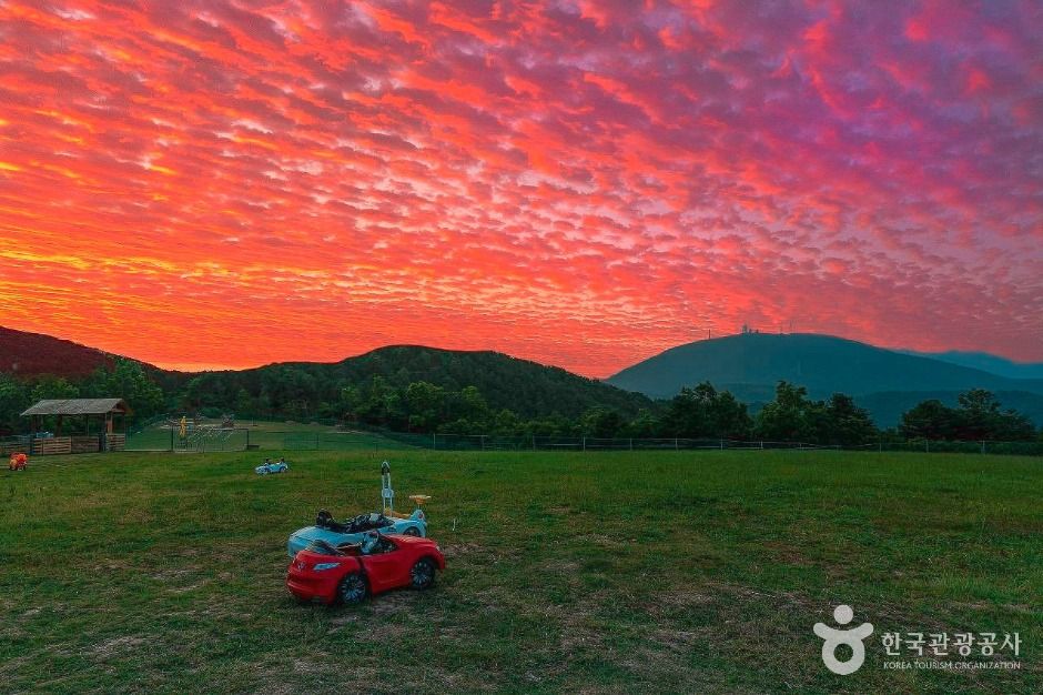 울산_울산양떼목장 (6)