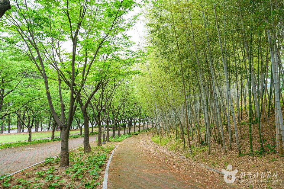 울산_울산체육공원 (5)