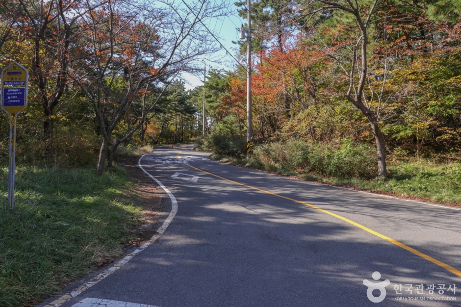 울산테마식물수목원 (3)