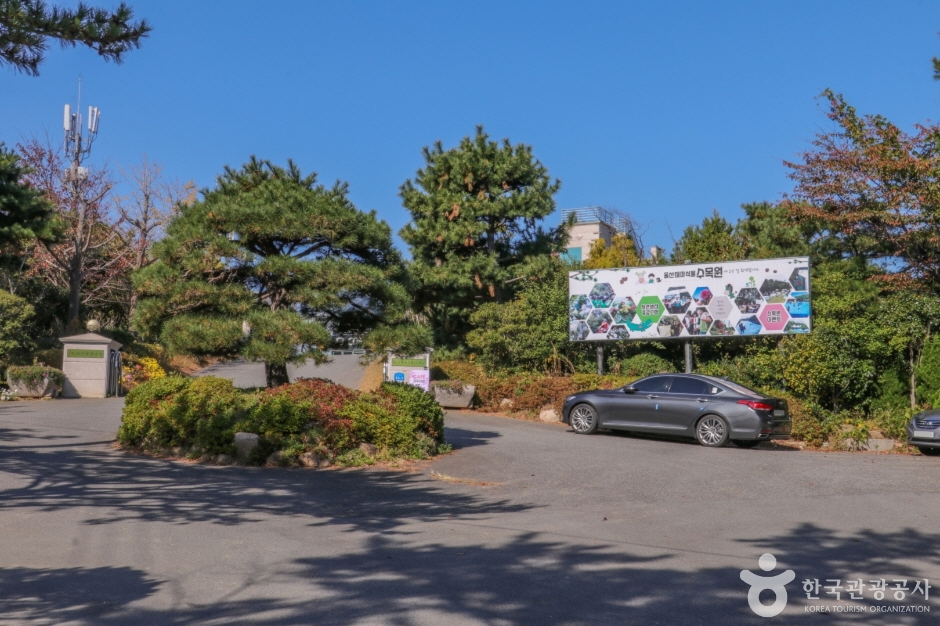 울산테마식물수목원 (8)