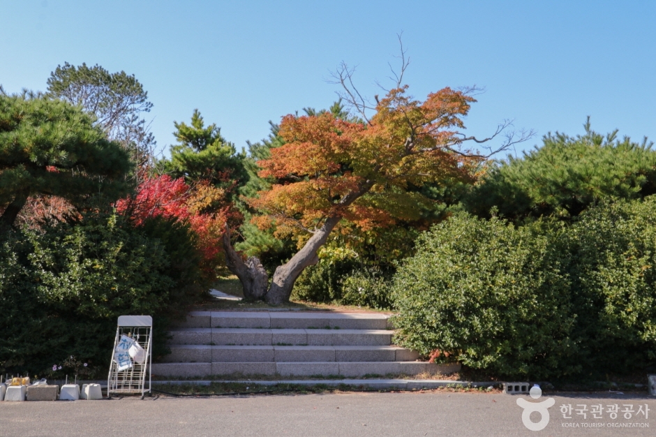 울산테마식물수목원 (16)