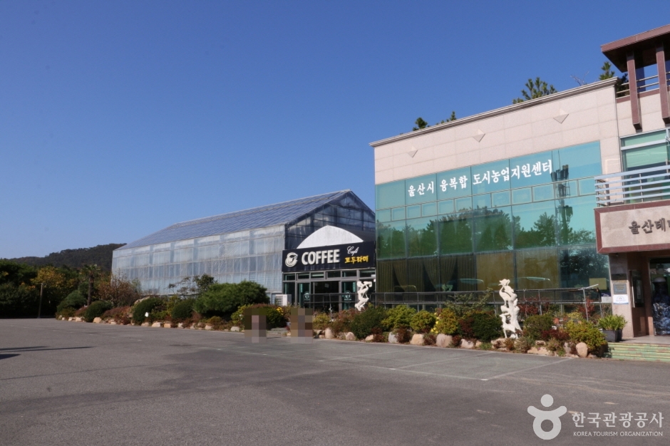 울산테마식물수목원 (19)