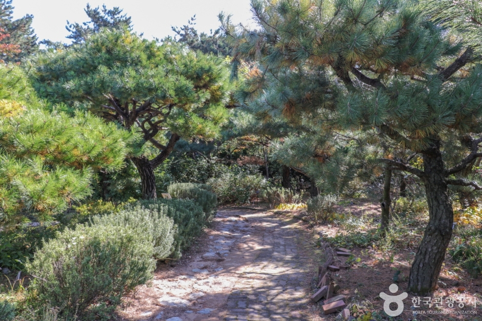 울산테마식물수목원 (23)