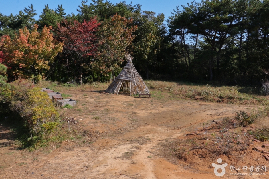 울산테마식물수목원 (29)