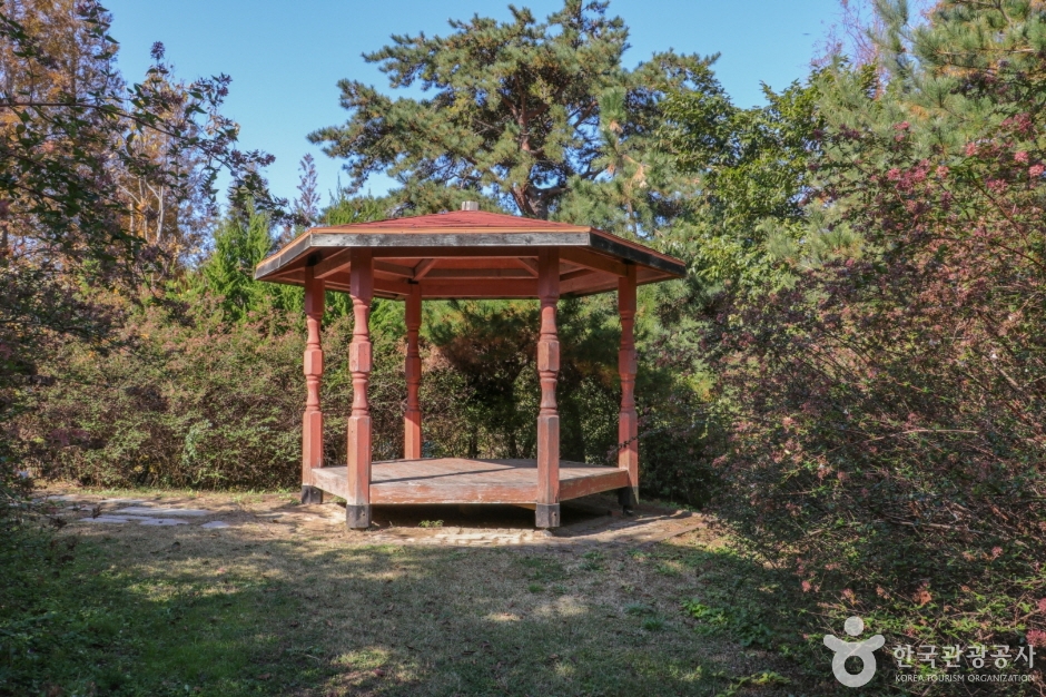 울산테마식물수목원 (35)