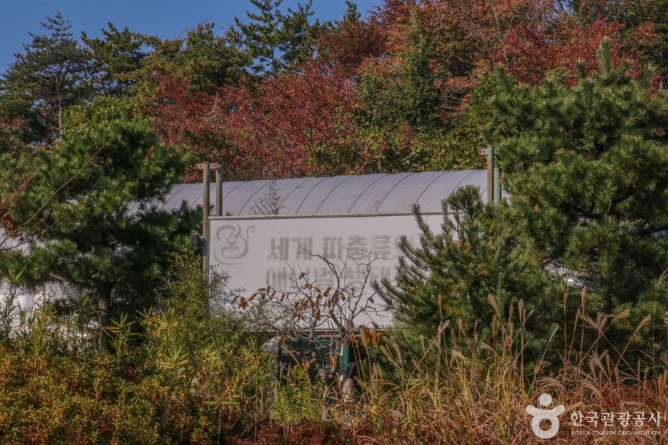 울산테마식물수목원 (37)