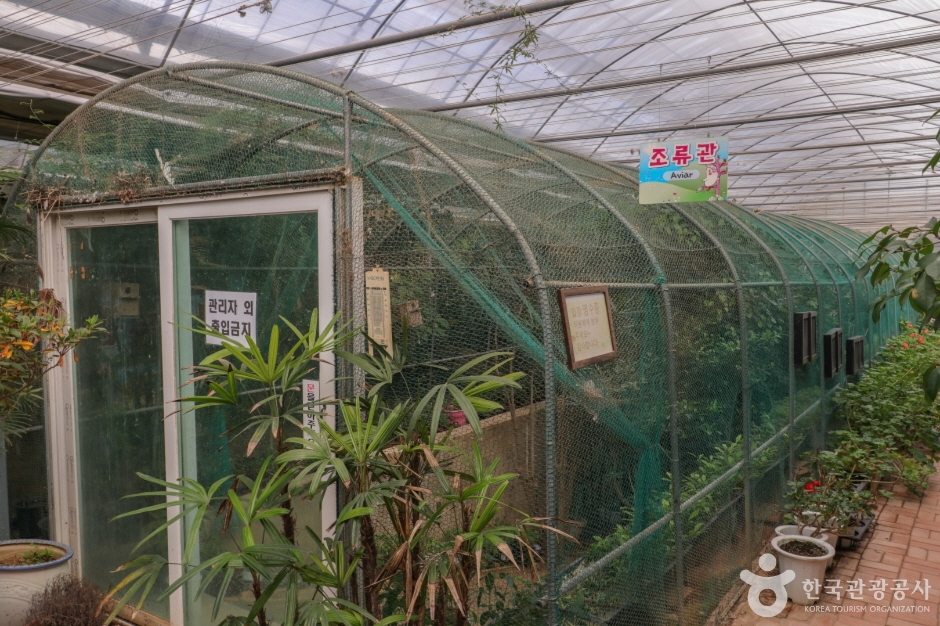 울산테마식물수목원 (43)