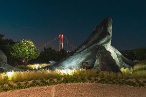 빛의 공원 미디어아트