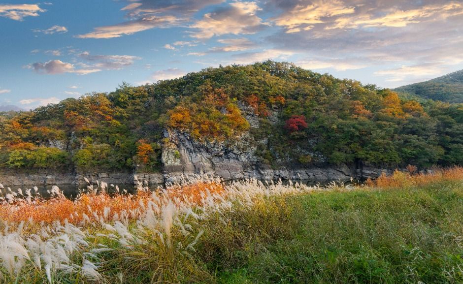 울산_울주 대곡리 반구대 암각화 (4)