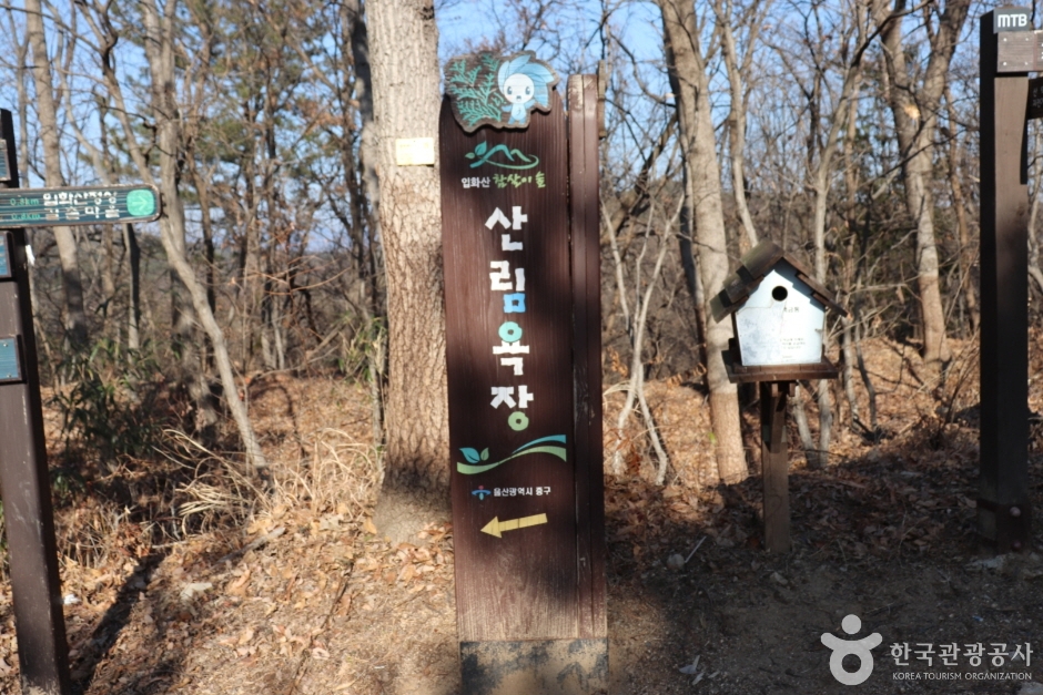 입화산자연휴양림 (3)