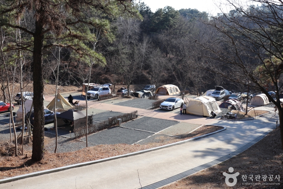 입화산자연휴양림 (4)