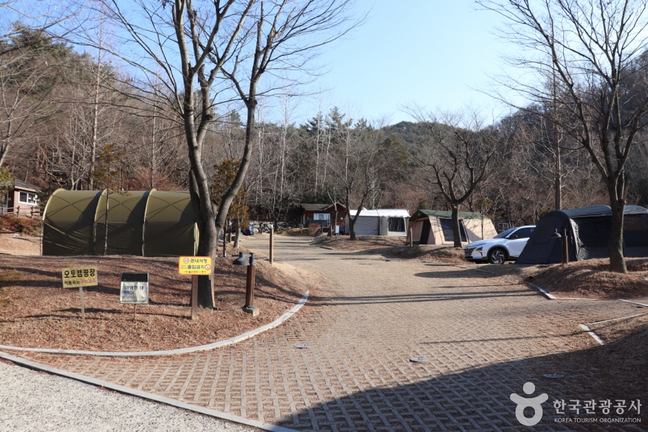 입화산자연휴양림 (6)