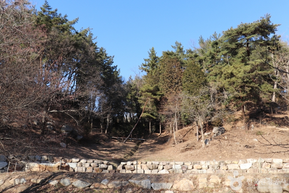 입화산자연휴양림 (10)