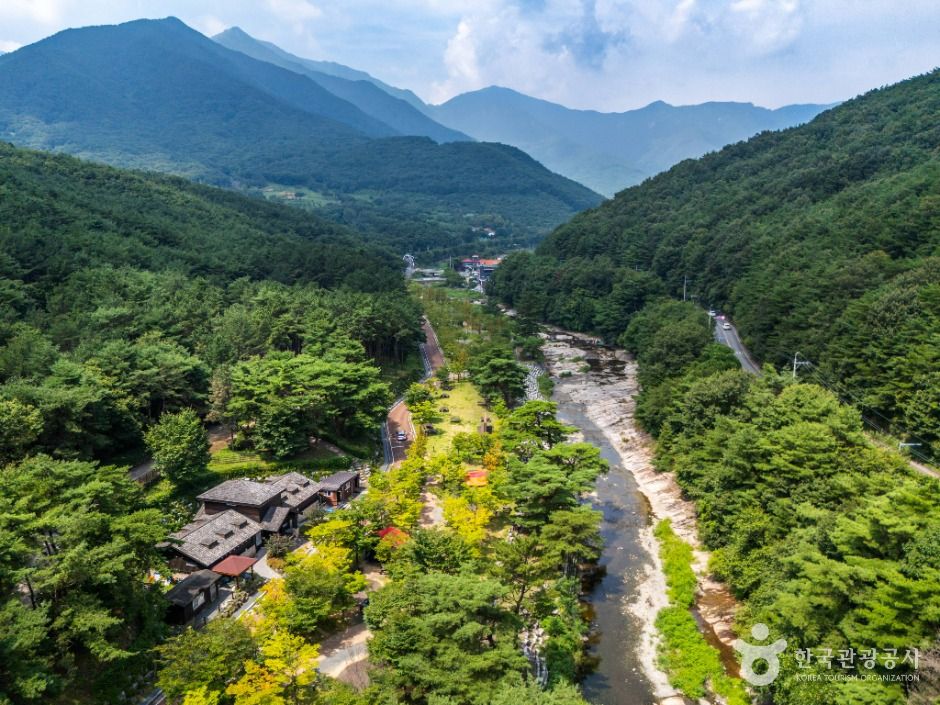 울산_작천정계곡 (5)