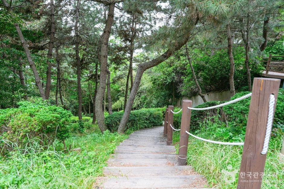 울산_장무공원 (1)