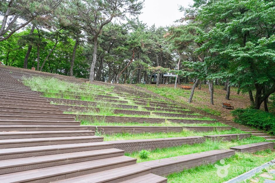 울산_장무공원 (2)