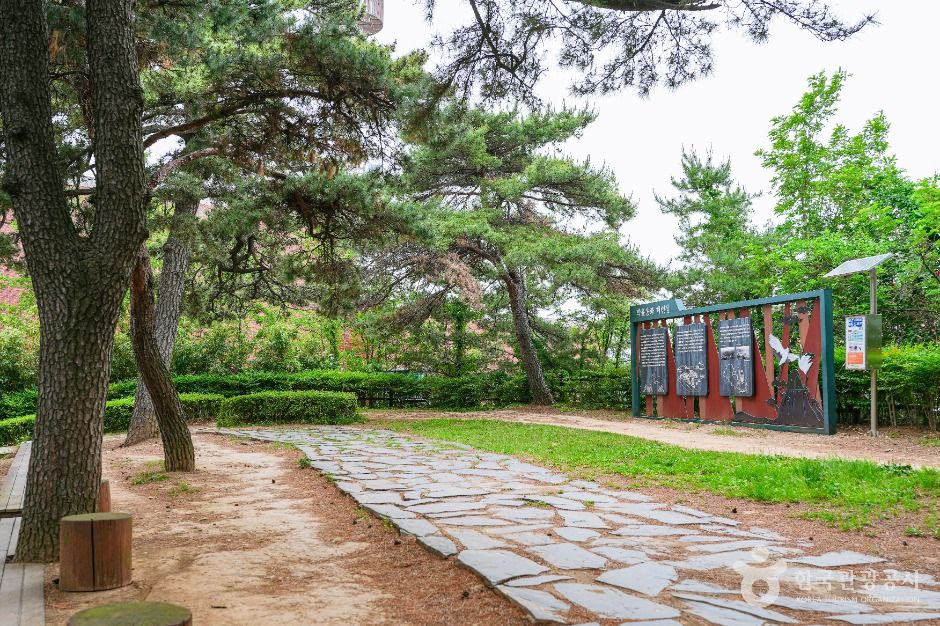 울산_장무공원 (3)