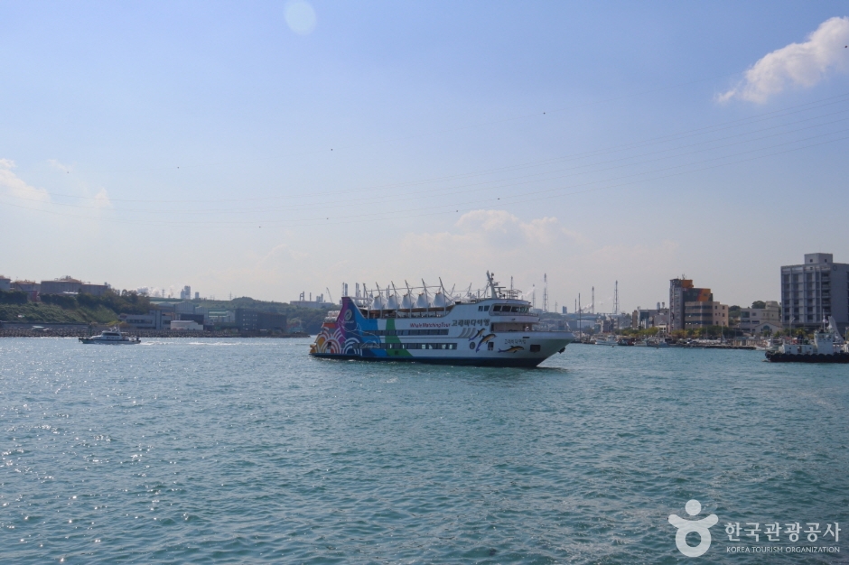 장생포 고래바다여행선 (6)