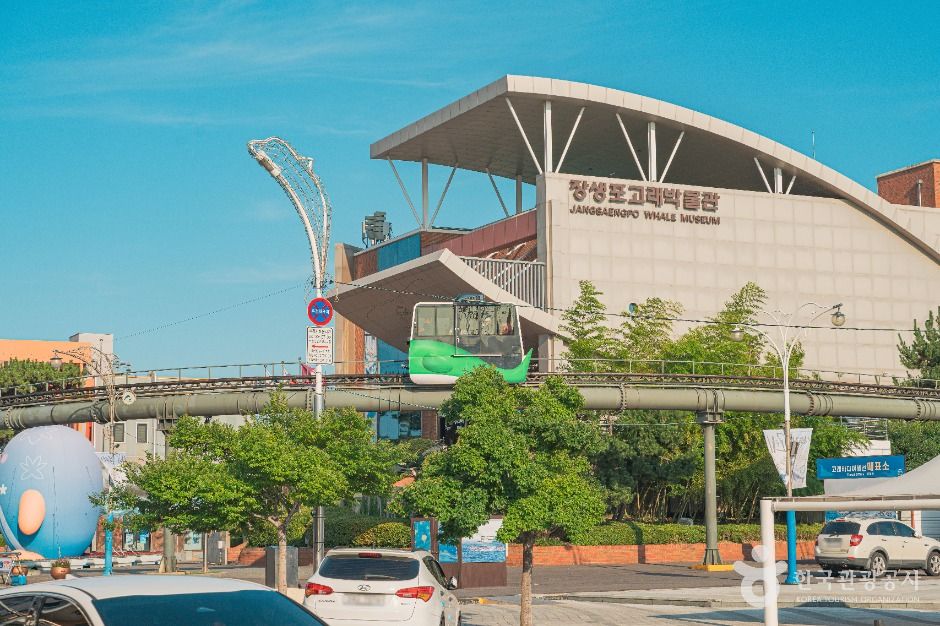 울산_장생포 모노레일 (5)