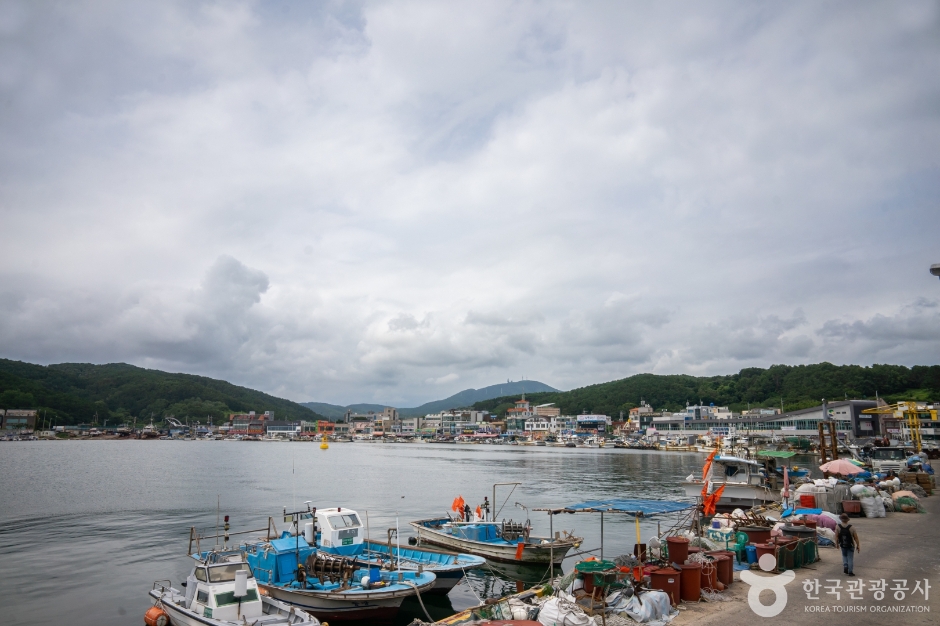 정자항&주전동 회촌005