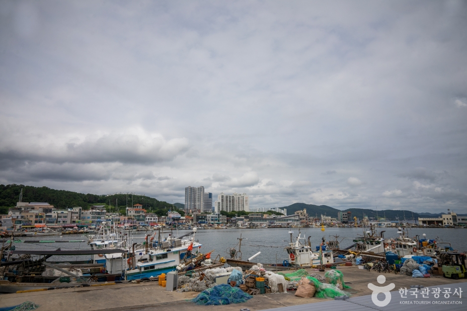 정자항&주전동 회촌007
