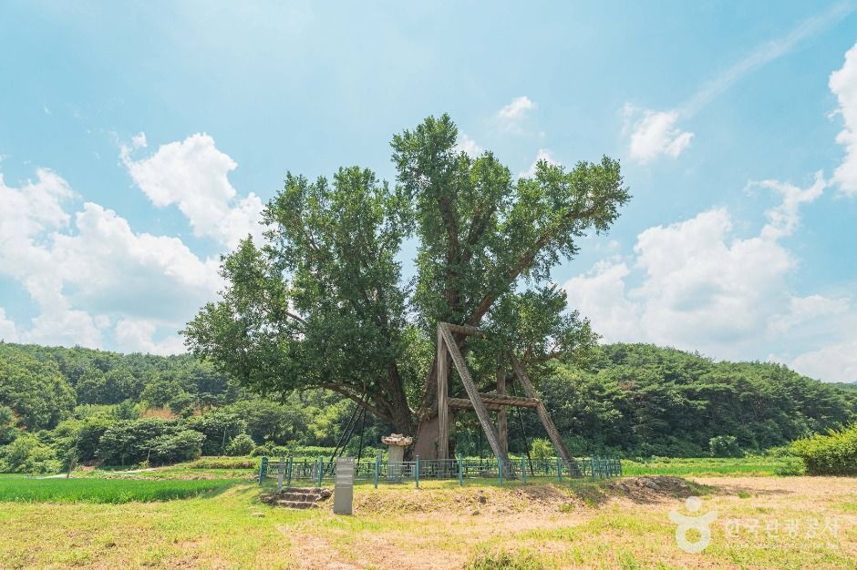 울주_중차리마을 (5)