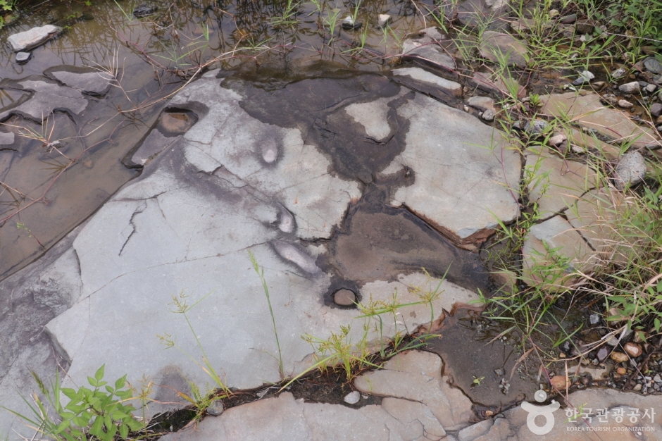 천전리 공룡발자국 화석_017