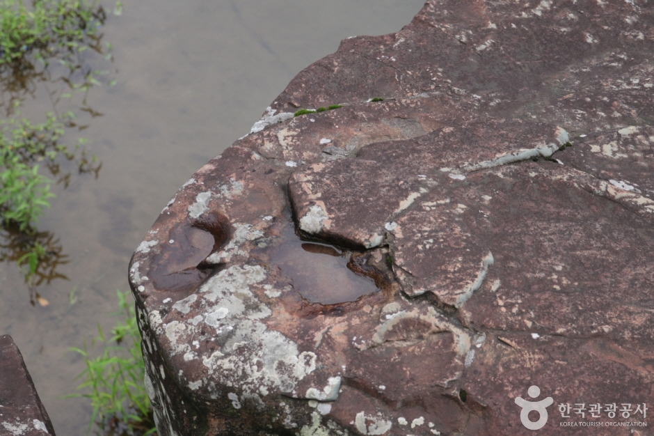 천전리 공룡발자국 화석_032