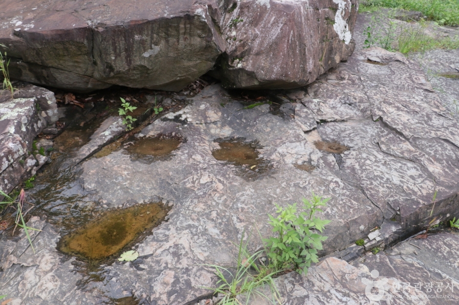 천전리 공룡발자국 화석_035