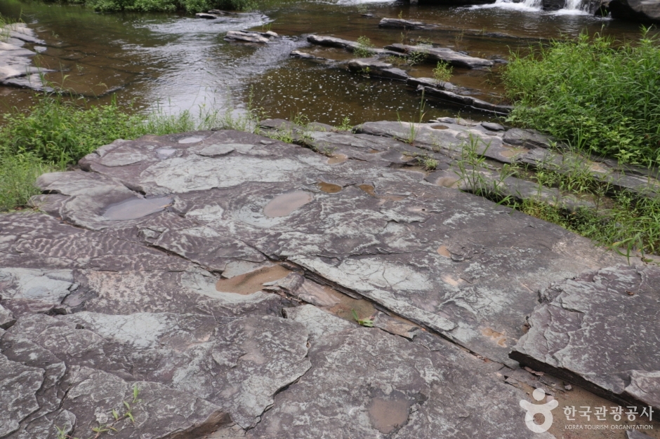 천전리 공룡발자국 화석_036