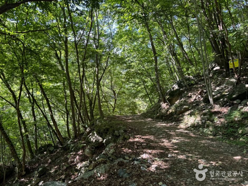 울주_철구소계곡 (4)