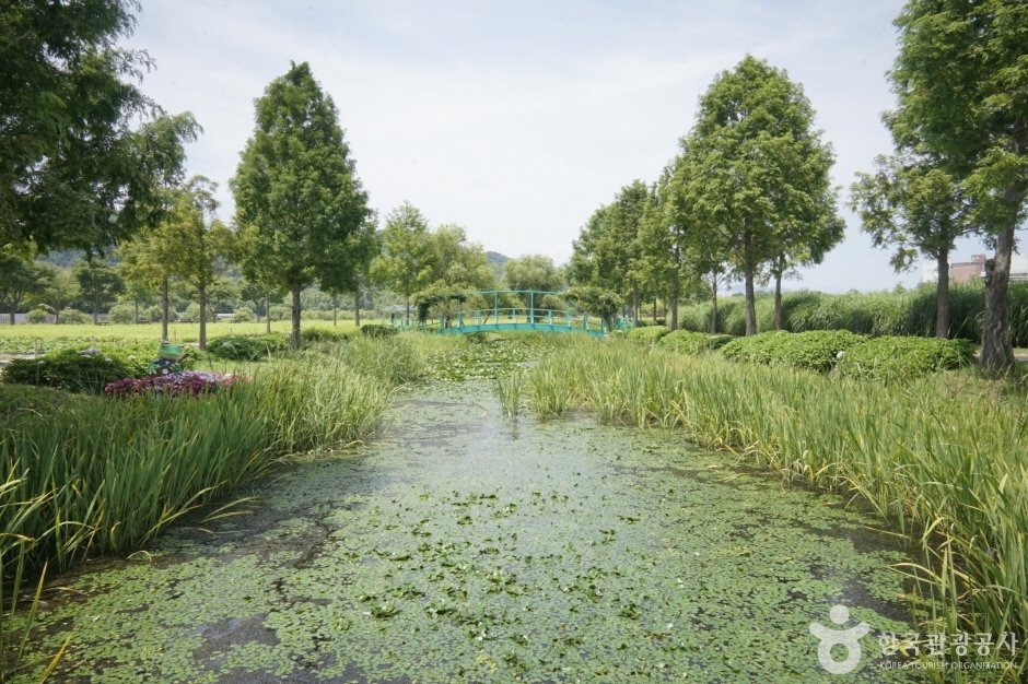 태화강 국가정원 (2)