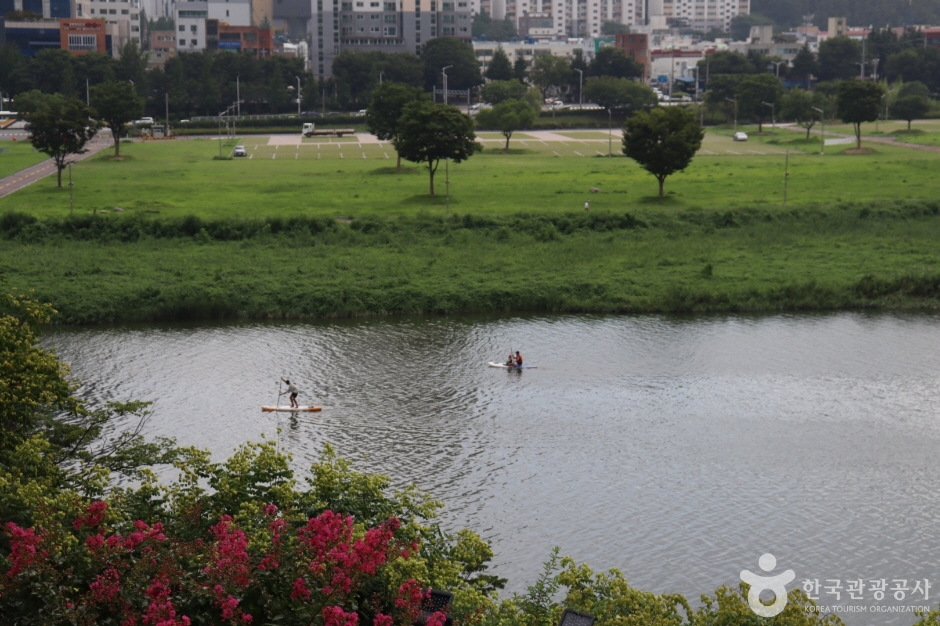 태화강 국가정원 (10)