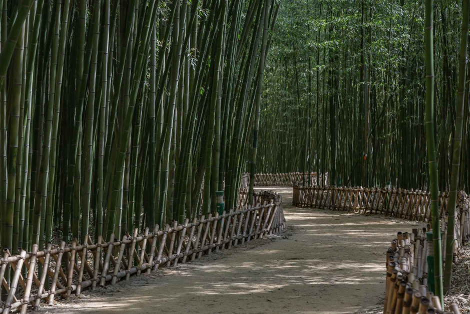 태화강국가정원 (2)