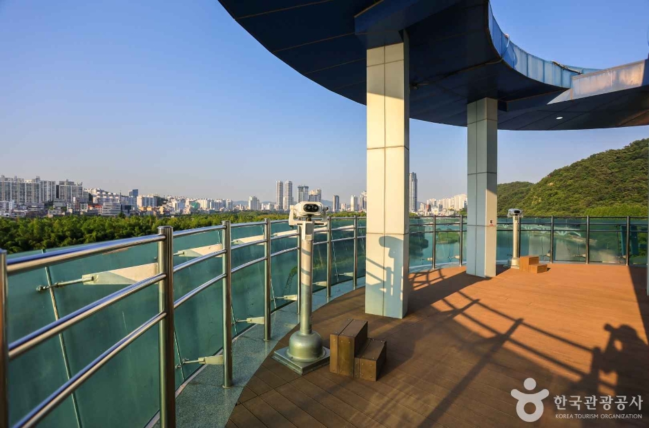 태화강 전망대 (6)