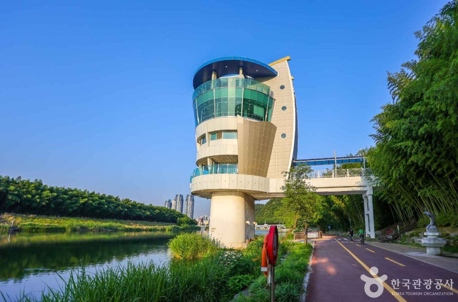 태화강 전망대 (2)