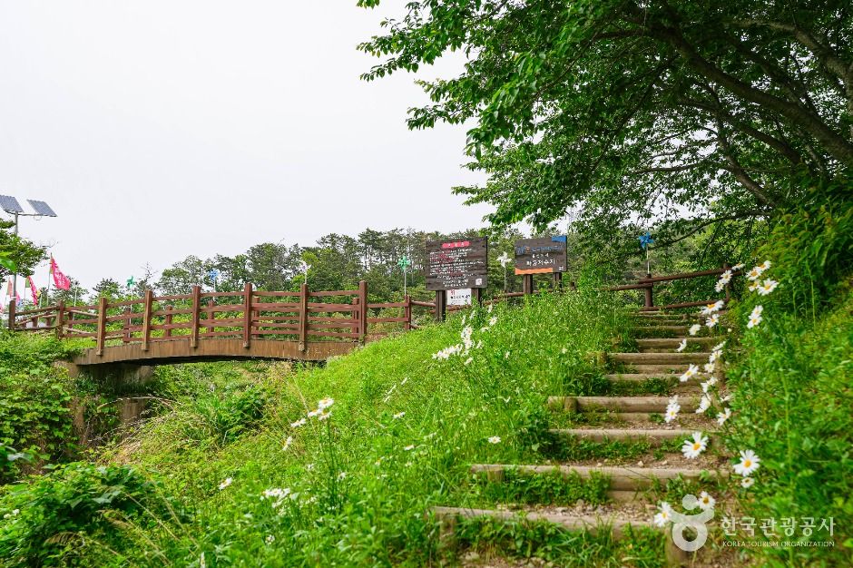 울산_화동못수변공원 (1)