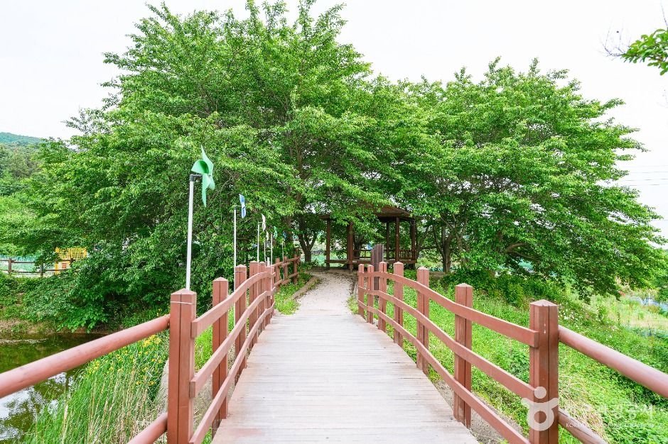 울산_화동못수변공원 (5)