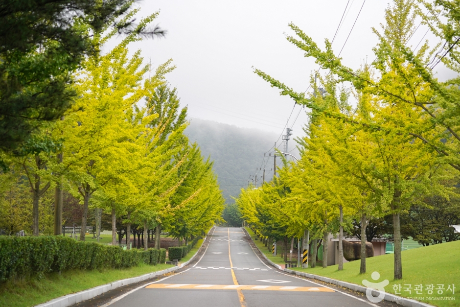 화랑체육공원 (5)
