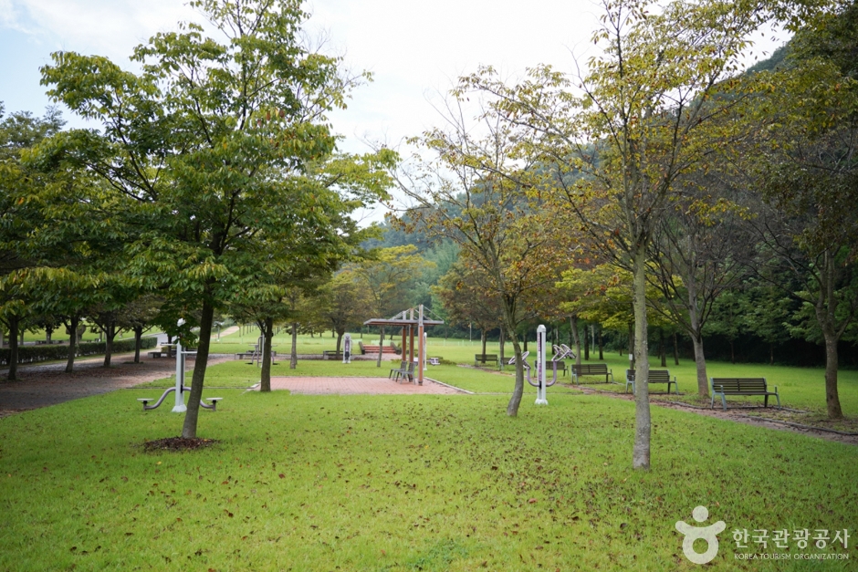 화랑체육공원 (10)