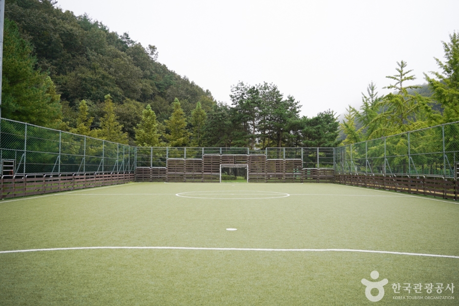 화랑체육공원 (11)