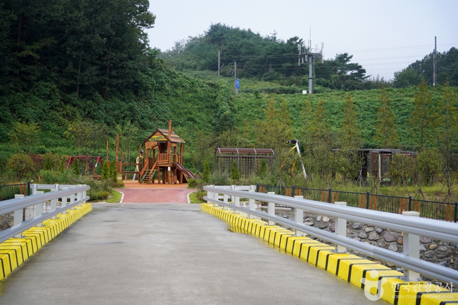 화랑체육공원 (14)