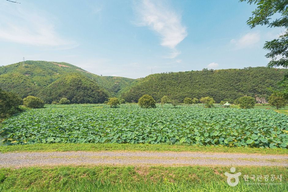 울주_회야댐 생태습지 (4)