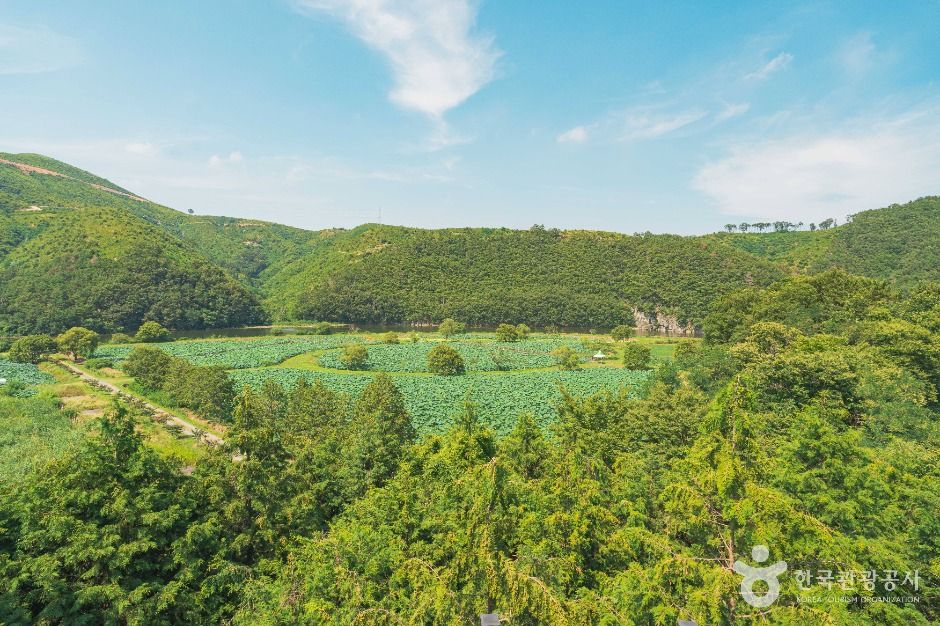 울주_회야댐 생태습지 (5)