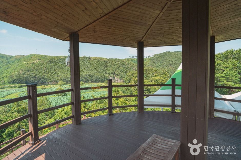 울주_회야댐 생태습지 (6)