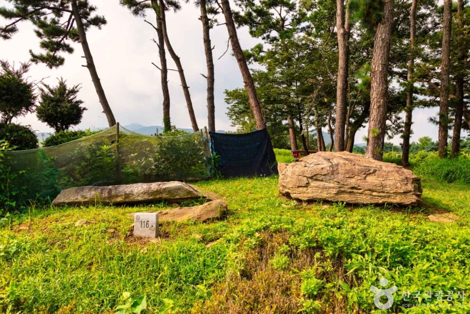 강화 고인돌 유적 (6)