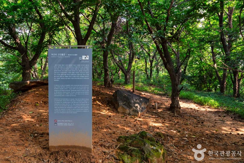 강화 고인돌 유적 (12)