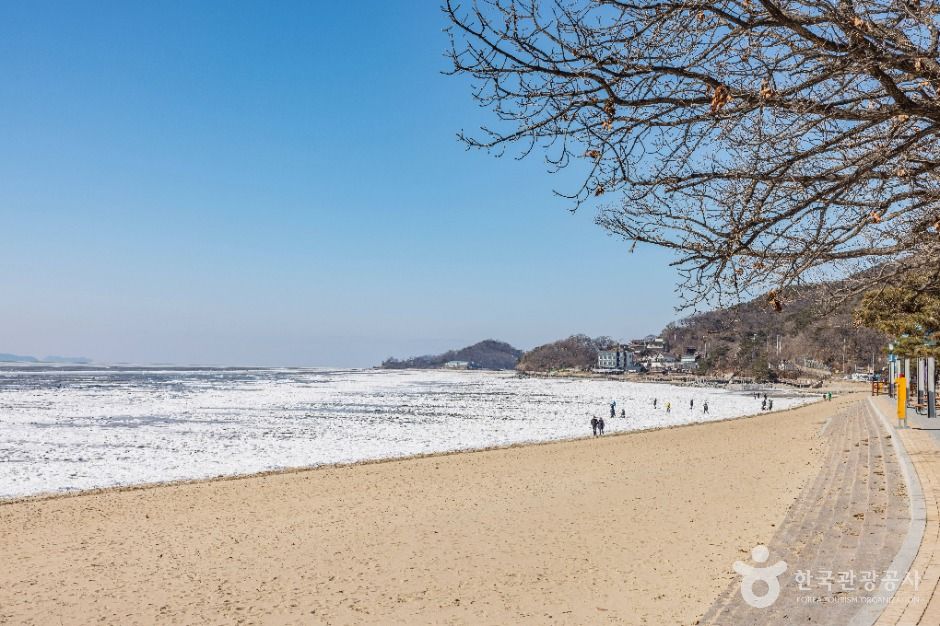 인천_동막해변 (3)